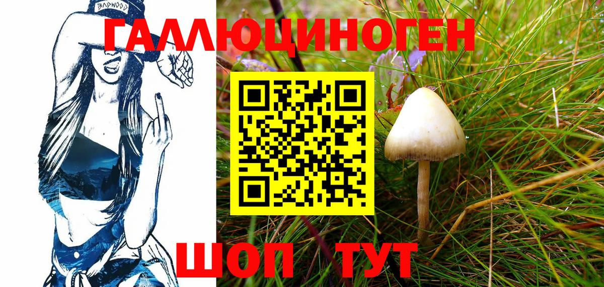 Тулун  Галлюциногенные грибы GOLDEN TEACHER  Вход с VPN 