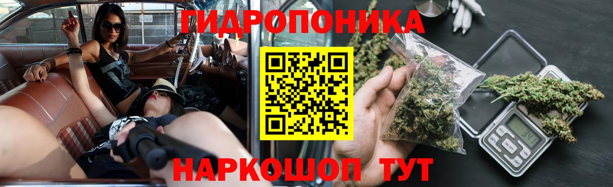 Бошки Шишки марихуана Тулун